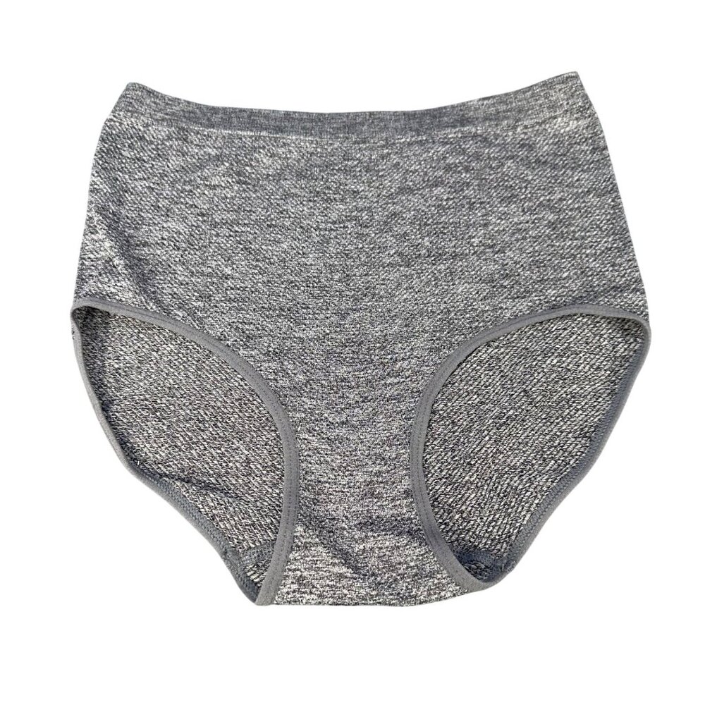 Fitwell Womens Medium/Large Panty Brief Support Hi-Waisted Gray New Without Tags